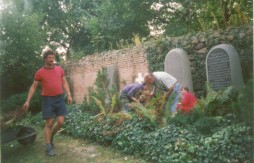 Pflegearbeiten an der Burg